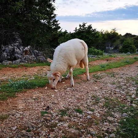 Naomi's Sunshine * كريس