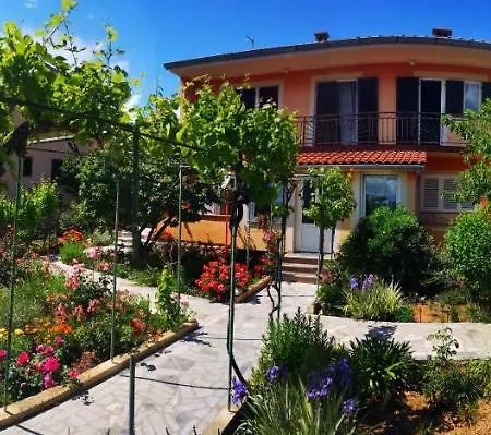 Naomi's Sunshine Apartment