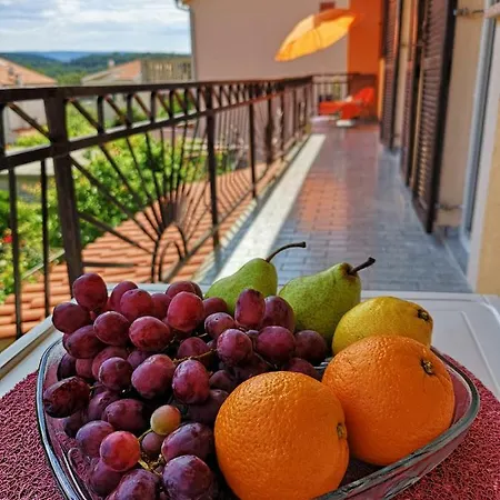 Naomi's Sunshine 公寓