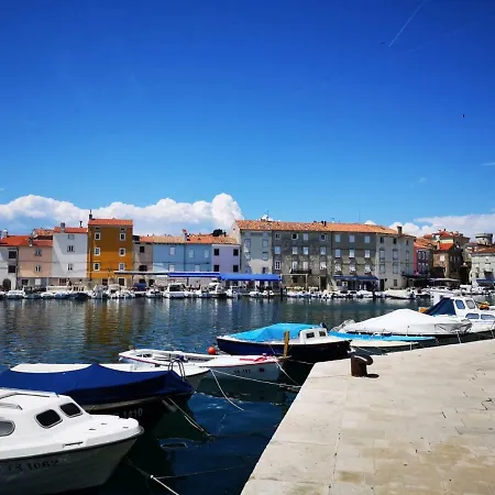 Naomi's Sunshine Daire *