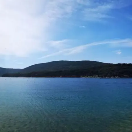 Daire Naomi's Sunshine *