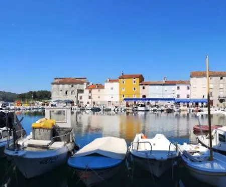 Naomi's Sunshine Daire Cres